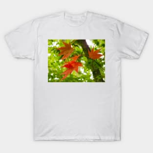 Colourful Leaves T-Shirt